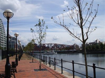 Picture 8